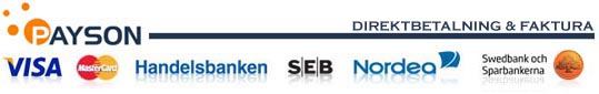 Payson Betalningslösning